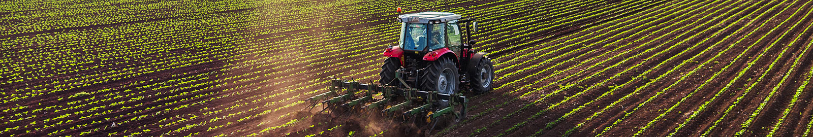 Tractor planting in field.