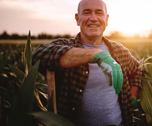 Farmer smiling in corn field.